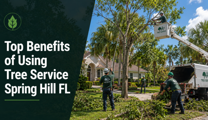 Tree service professionals in Spring Hill